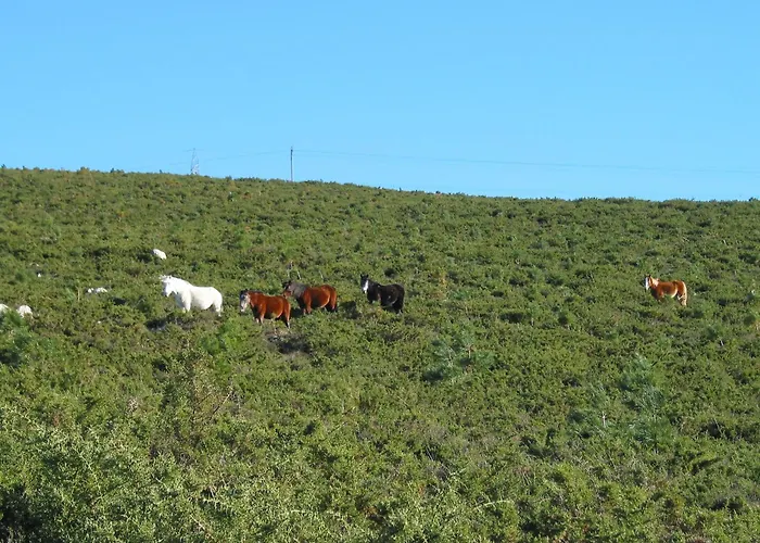 Playa Monte Pindo - Lobeira Do Mar Apartament O Pindo
