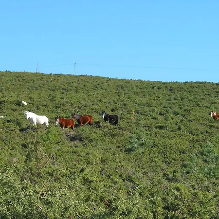 Playa Monte Pindo - Lobeira Do Mar Apartment O Pindo